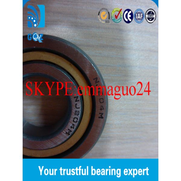 NJ 204M Cylindrical Roller Bearings , Double Row / Single Row Roller Bearing
