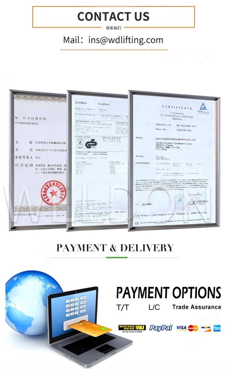 Light Weight Electric Chain Hoist 3PH / 1PH Electric Chain Block
