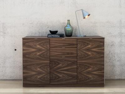 Meubles en bois pour l' intérieur polyvalent Armoire en bois moderne haute durabilité