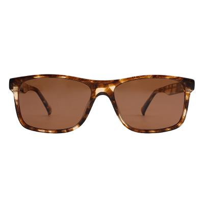 Conduzindo óculos de sol UV da proteção, óculos de sol Handcrafted do quadro do acetato