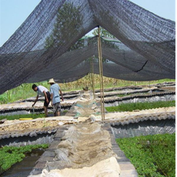 Agriculture HDPE Sun Shade Cloth , Greenhouse Shade Net 30%-90% Shade Rate
