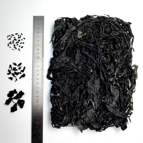 Premium Tender Wakame: Soft, Dark Green Goodness for Soups & Salads
