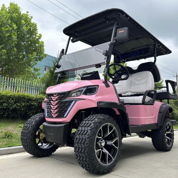 Electric Golf Cart With Canopy 60v 100ah Lead Acid Battery Front Bumper And Radio