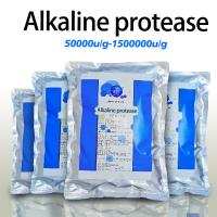 Grado alimenticio e industrial Proteasa alcalasa 2.4L personalizada
