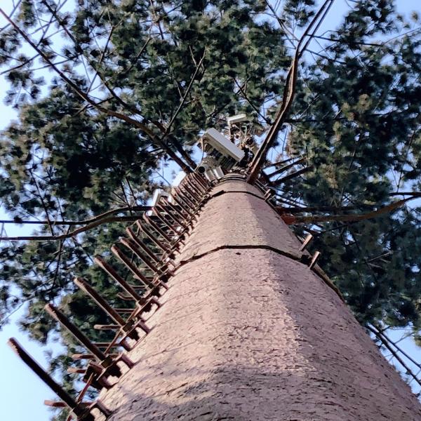 Torre resistente da pilha do móbil do vento 80m de ChangTong