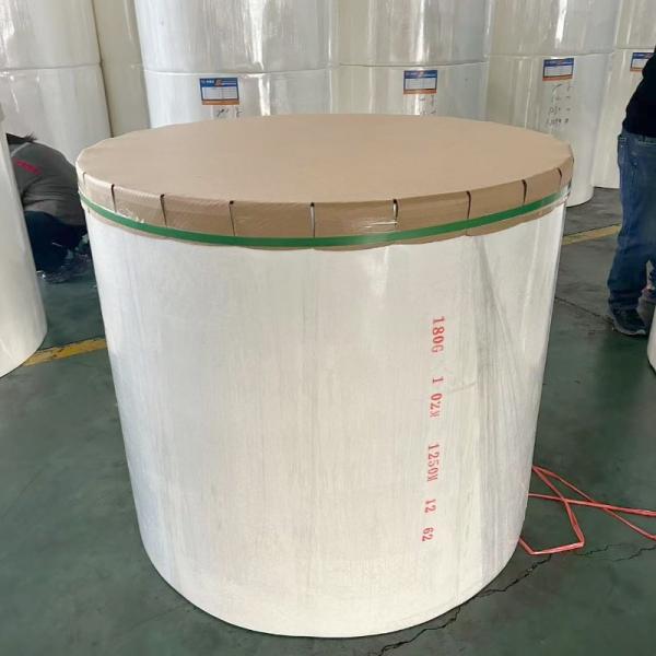 YU WANG Polyester Asphalt Cloth Roll 250g For Asphalt Waterproofing Membrane