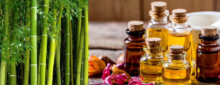 Home Spray Fragrance With Free Sample Green Bamboo Essence Oil For Reed Stick &Cold Scented Candle& Diffuser Fragrance Making/Production
