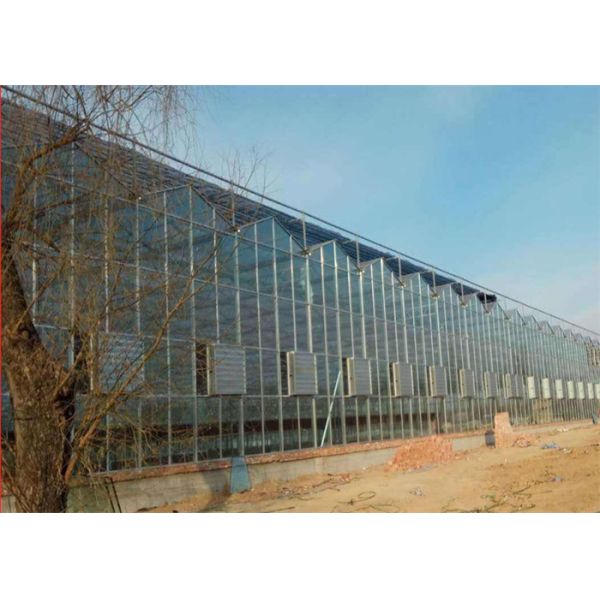 Shouguan Agricultural Glass Greenhouse Hot Dip Galvanized Rust Prevention Design
