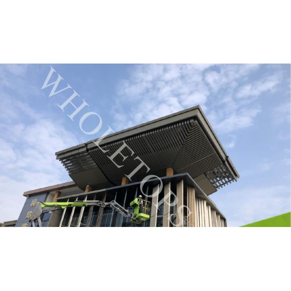 Grueso de aluminio del panel 20m m del panal de la limpieza de uno mismo para el centro de conferencias