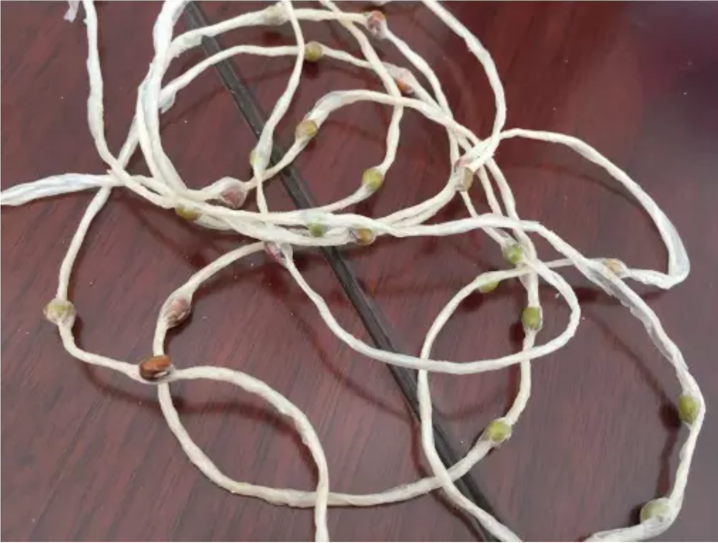 Лента семени поливинилалкоголя земледелия 1500m расстворимая в воде