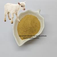50% Crude Protein Fermented Soy Poultry Feed Additive