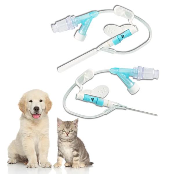 Cathéter IV médical pour animaux de compagnie / Cathéter IV / Tube IV pour animaux Chiens Chats Perfusion IV Soins permanents