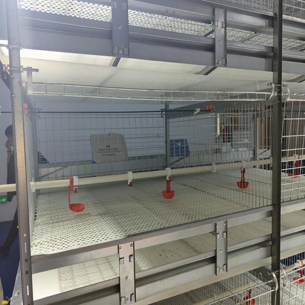 Tipo automático tamanho de Q235A H da gaiola 150x100x44cm da galinha de grelha