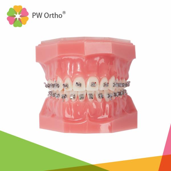 Passive Self-Ligating Brackets 0.018 Roth (Damon alike)