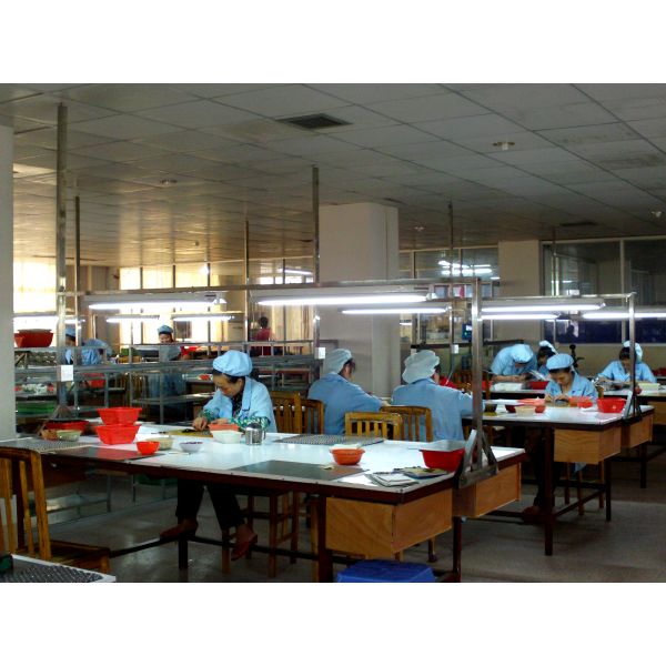 Fuzhou Zoomland Import and Export Trade Co.,Ltd