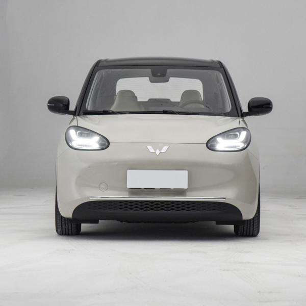 2023 Wuling Bingo Mini EV CLTC 333km Five-Door Four-Seat Energy Small Pure Electric Car
