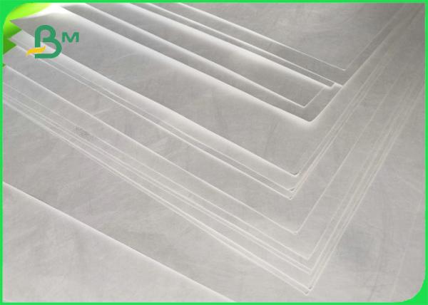 De pouco peso Waterproof personalizado imprimindo o papel da decoração 1070D Tyvek para a maratona