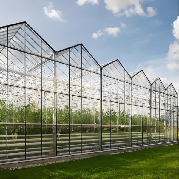 300*300mm Greenhouse Glass Panels High Transmittance Agriculture Glass Customizable
