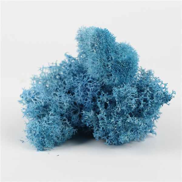 A Grade Decorative Preserved Natural Moss Environmental Friendly