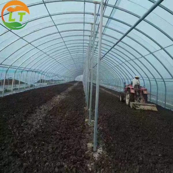 Galvanized Skeleton Polytunnel Greenhouse for Plants Growing Easy to Install by LiTai