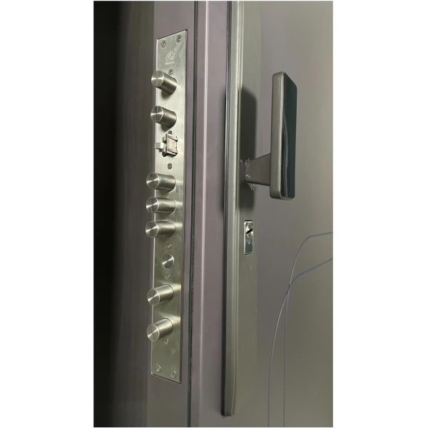Sturdy Steel Exterior Entrance Door For Office Apartment Exteriors