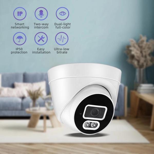 Input Output Cctv Ir Capture Night Vision CCTV Security Camera 4Mp Indoor Security Dome Camera