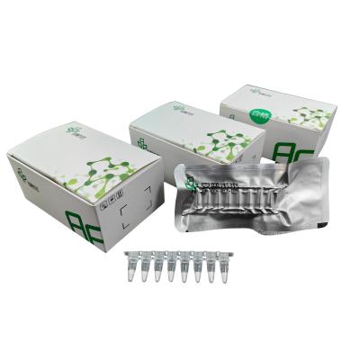 Temperatura ambiente Kit de PCR isotérmico Temperatura constante Congelação Reagentes secos