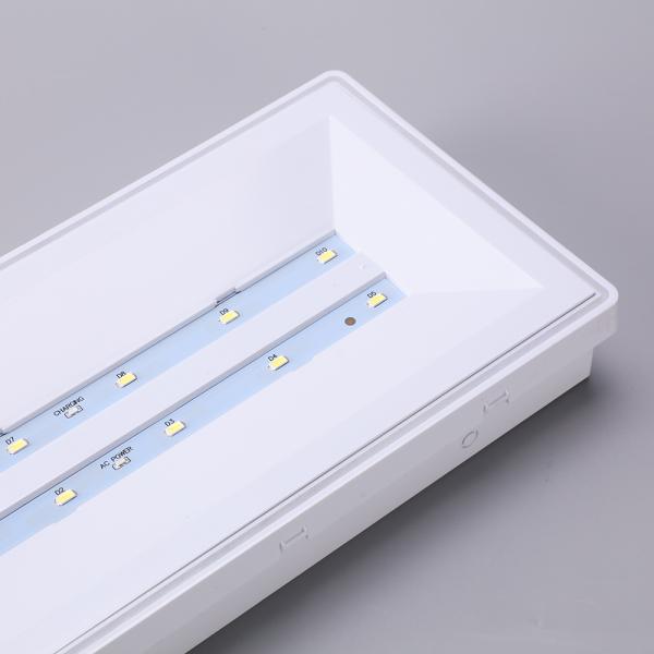 IP65 5W LED Emergency Light with 3-Year Warranty Ceiling Mount Emergency Light