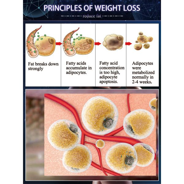 Электрический стимулятор мышц для снятия боли и скульптуры тела 2000 Вт