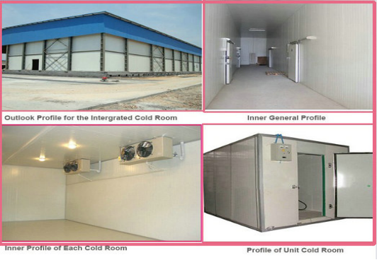 Almacén de acero prefabricado de gran envergadura Estructura prefabricada de acero Almacenamiento en el cuarto frío