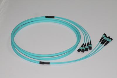 Female Om4 Multimode Fiber Cables 48 Fibers Type B LSZH Lszh Patch Cord
