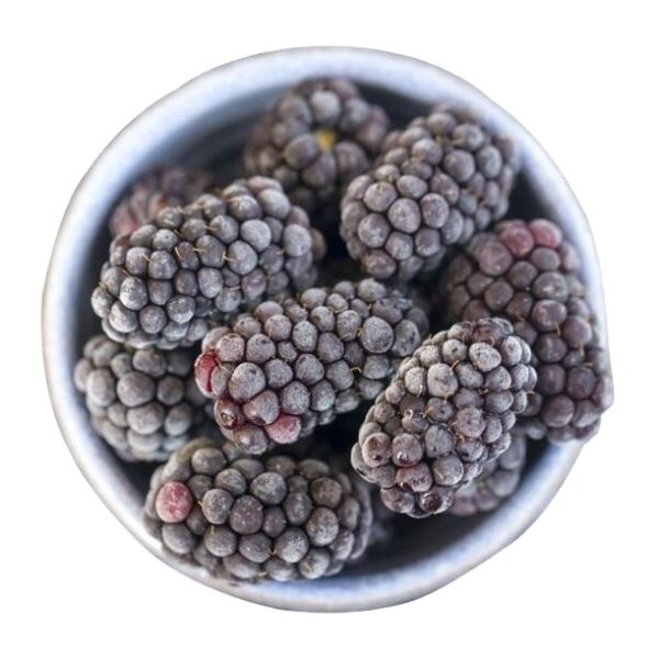 Sinocharm HACCP Nouvelle saison Premium Bio Brix 10-11 Fruits surgelés Prix en gros IQF Morelle entière surgelée pour la confiture