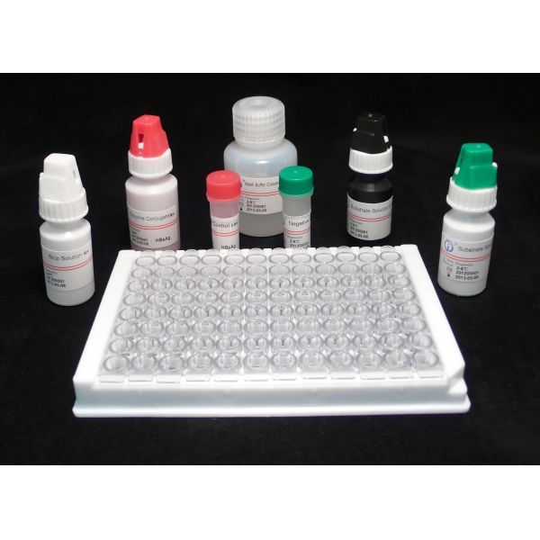 ELISA detection reagent kit High Accuracy HBsAg Elisa Test Kit