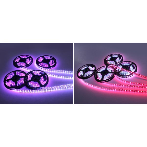 IP65 Epoxy Coated DC12V 60LEDs/m WS2811 RGB LED Strip Lights