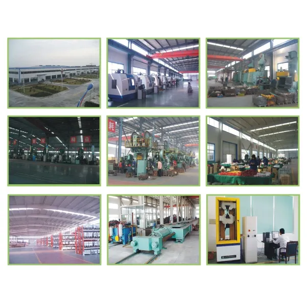 Деформирование в холодном состоянии высокой эффективности сережки смычка плиты нержавеющей стали