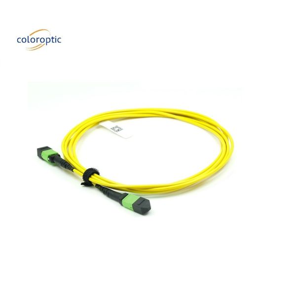 OM3 MPO Patch Cord 12 Core Aqua Fiber Optic Connector For Efficient Networking