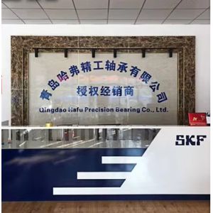 Qingdao Haver Seiko Bearing Co., Ltd.