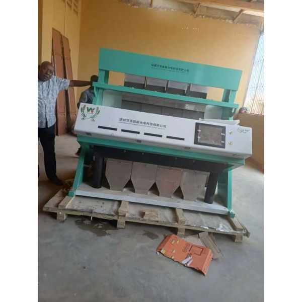 Good Quality Wenyao CE Certificated Cashew Color Sorter Machine Chestnut Color Sorting Machine