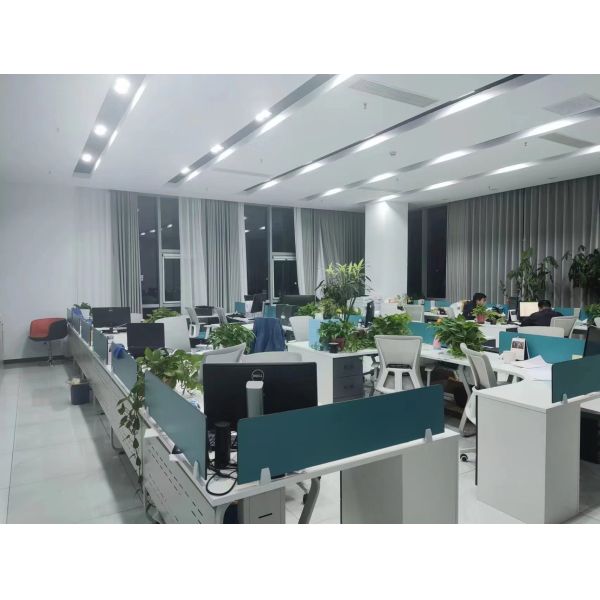 Память DDR4 Private Mold RECC Server RAM с емкостью 64 ГБ и памятью Origin Chips