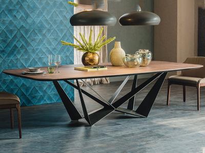 Elegant Craft Industrial Wood Dining Tables 750mm Hight  Rectangle Timeless