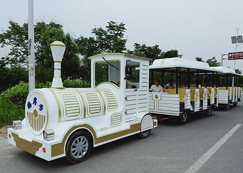 Beautiful Decoration Carnival Train Ride For Outdoor Amusement Park