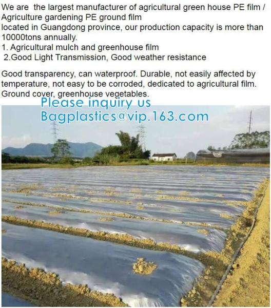 200 Micron Uv Resistant Film Greenhouse Perforated Mulch Agricultural Film Vegetable Planting