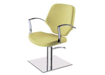 Recycled Stylish Salon Hair Styling Chairs No Footrest with Fixed Backrest