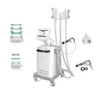 3 Handpiece cryogénique Cryolipolysis amincissant la machine avec le système de refroidissement superbe