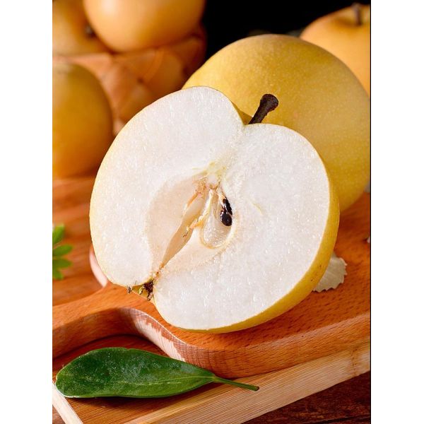 Zeagrove  Free-Range Chicken Soup With Chenpi Snow Pear  Convenient And Fast Food For Lazybones