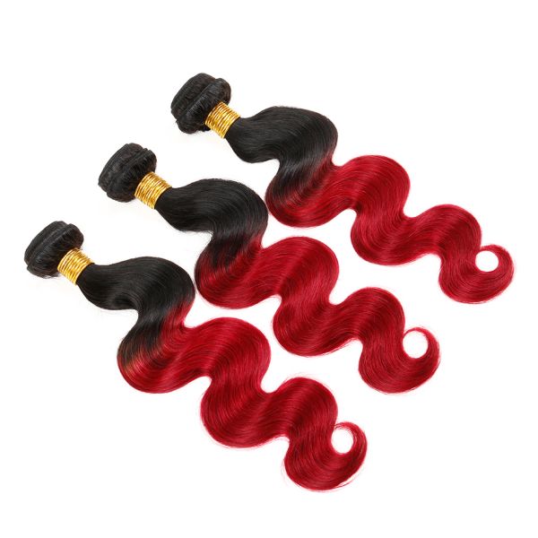 Fashion Ombre Human Hair Extensions 10 Inch - 30 Inch Soft And Smooth Hair