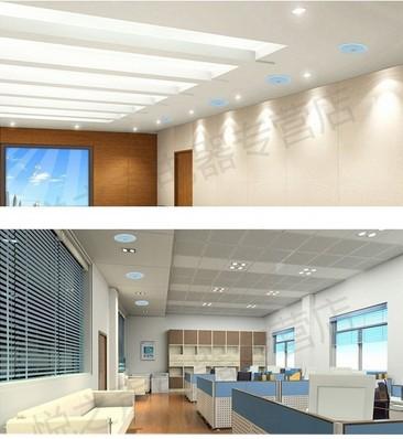 CE, CCC, CB, ROHS Approval 6" PA Ceiling Speaker with Cover(Y-040)