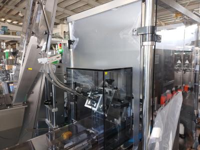 TorqueMaster Automatic Screw Capping Machine 180 bottles/min