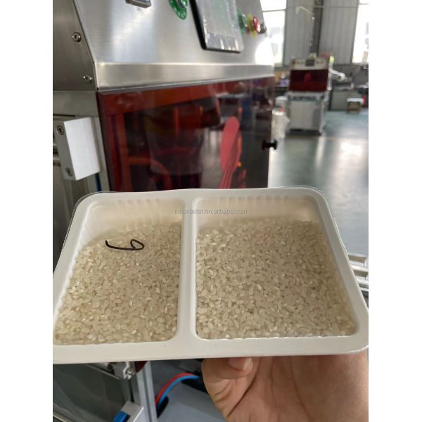 Electric Driven Modified Atmosphere Packaging Machine for Fresh Fruits in Case Type