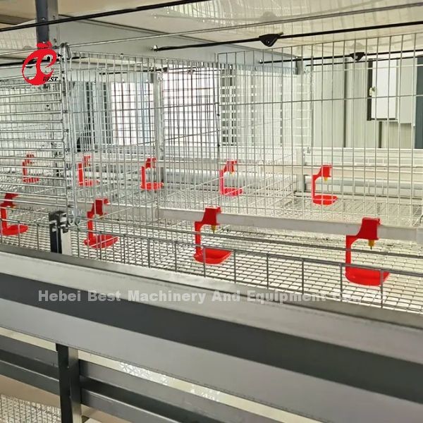Cage de poulets de chair de poulet en acier plus solide de 1,5 m sur 2,2 m sur 1